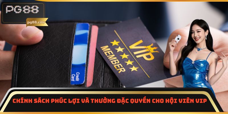 Chính sách phúc lợi và thưởng đặc quyền cho hội viên VIP