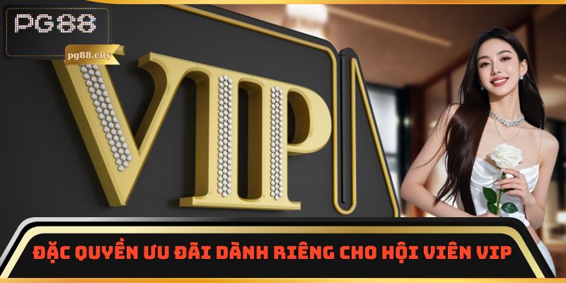 Đặc quyền ưu đãi dành riêng cho hội viên VIP