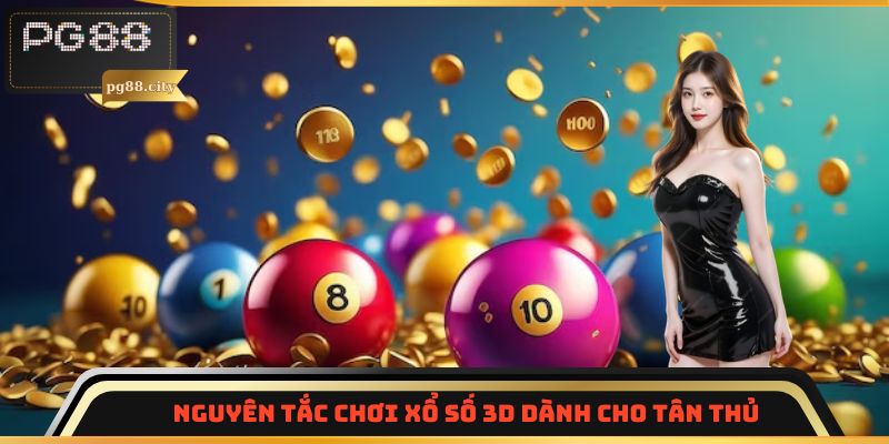 Nguyên tắc chơi xổ số 3D dành cho tân thủ