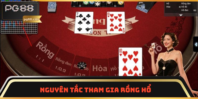 Nguyên tắc tham gia Rồng Hổ